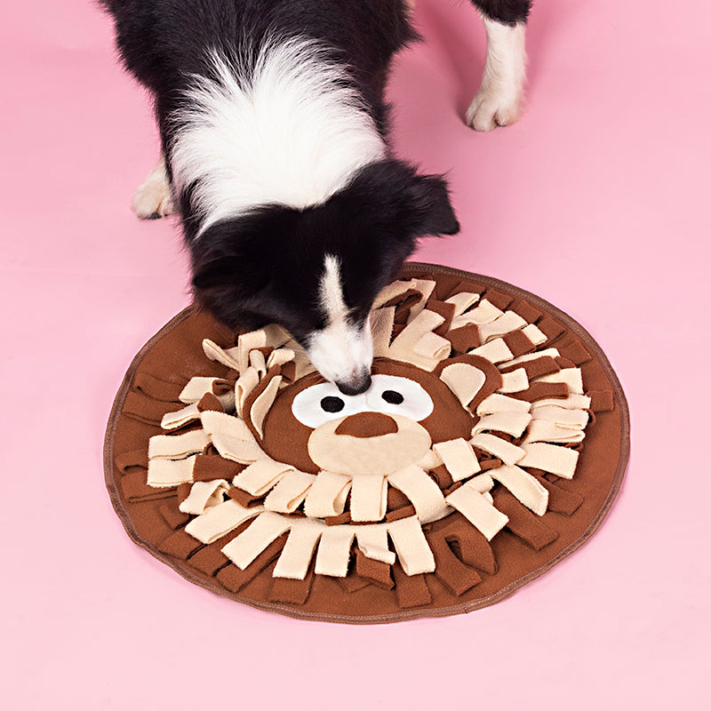 A border collie sniffing a snuffle mat